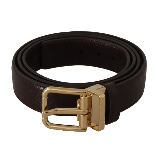Dolce & Gabbana Brown Leather Gold Metal Buckle Belt