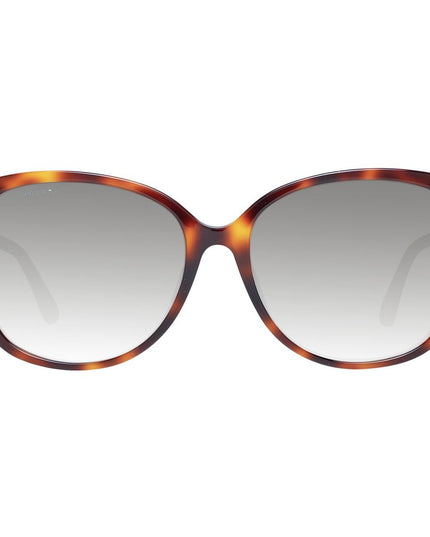Jimmy Choo Brown Women Sunglasses