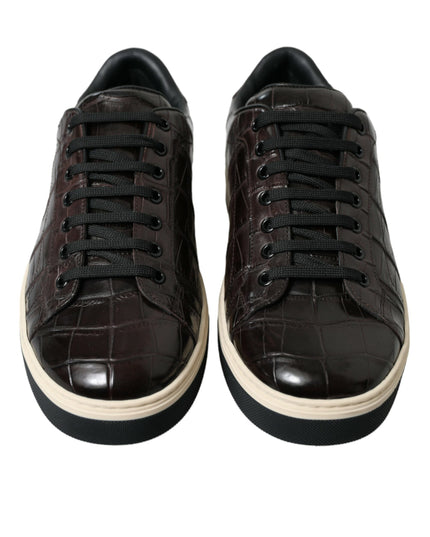 Dolce & Gabbana Brown Croc Exotic Leather Men Casual Sneakers Shoes