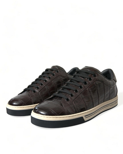 Dolce & Gabbana Brown Croc Exotic Leather Men Casual Sneakers Shoes