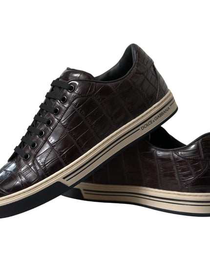Dolce & Gabbana Brown Croc Exotic Leather Men Casual Sneakers Shoes