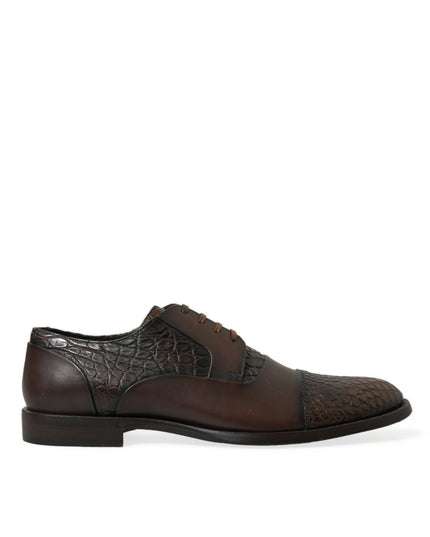 Dolce & Gabbana Brown Exotic Leather Lace Up Oxford Dress Shoes