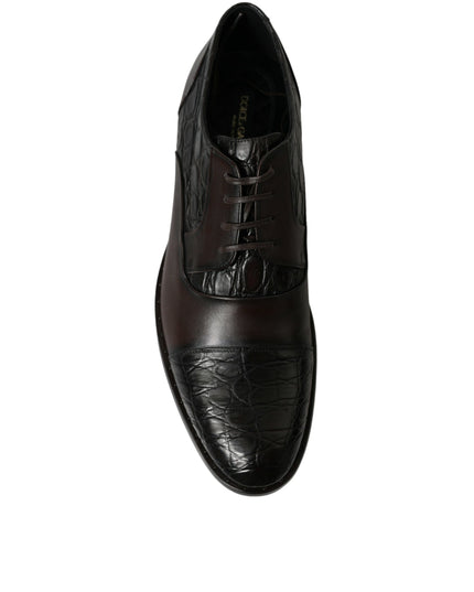 Dolce & Gabbana Brown Exotic Leather Formal Men Dress Shoes