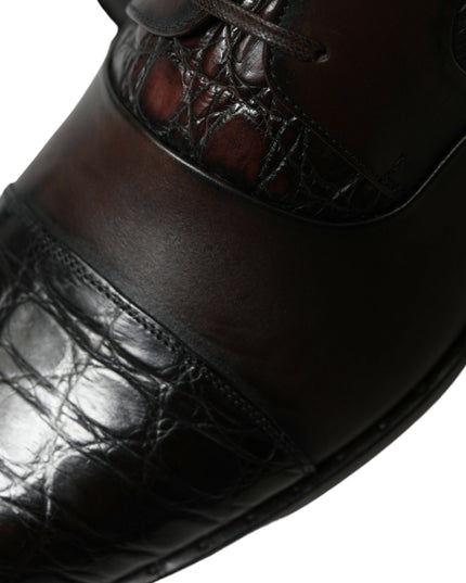 Dolce & Gabbana Brown Exotic Leather Formal Men Dress Shoes