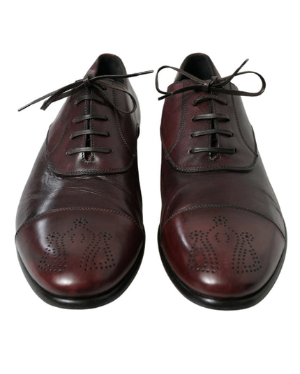 Dolce & Gabbana Bordeaux Leather Men Formal Derby Dress Shoes
