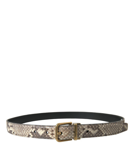 Dolce & Gabbana Brown Python Leather Gold Metal Buckle Belt