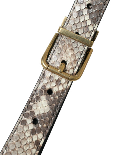 Dolce & Gabbana Brown Python Leather Gold Metal Buckle Belt
