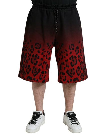 Dolce & Gabbana Red Leopard Print Cotton Bermuda Shorts