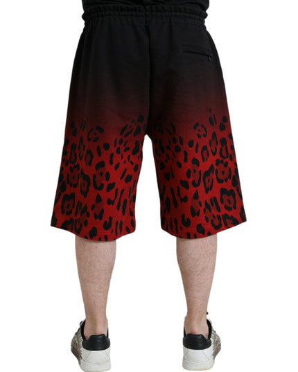 Dolce & Gabbana Red Leopard Print Cotton Bermuda Shorts