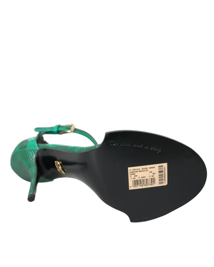 Dolce & Gabbana Green Exotic Leather Crystal Sandals Shoes