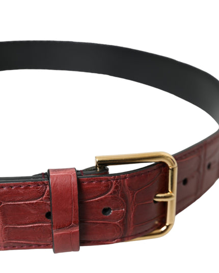 Dolce & Gabbana Brown Alligator Leather Studded Metal Buckle Belt