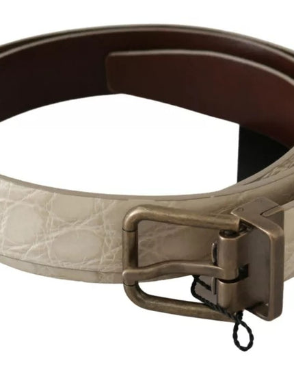 Dolce & Gabbana Cream Beige Gold Buckle Waist Leather Belt