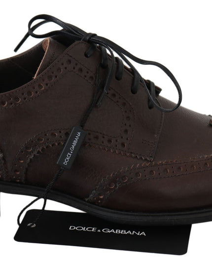 Dolce & Gabbana Brown Leather Brogue Derby Dress Shoes