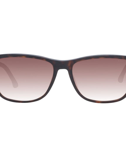 Police Brown Acetate & Plastic Sunglasses