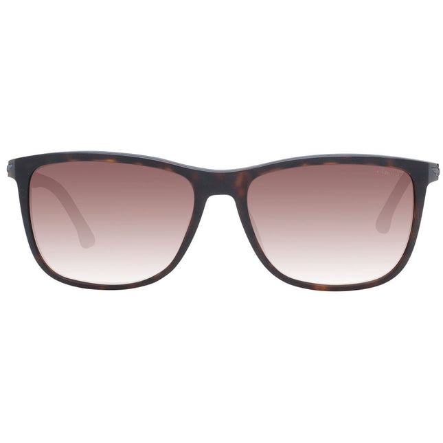 Police Brown Men Sunglass