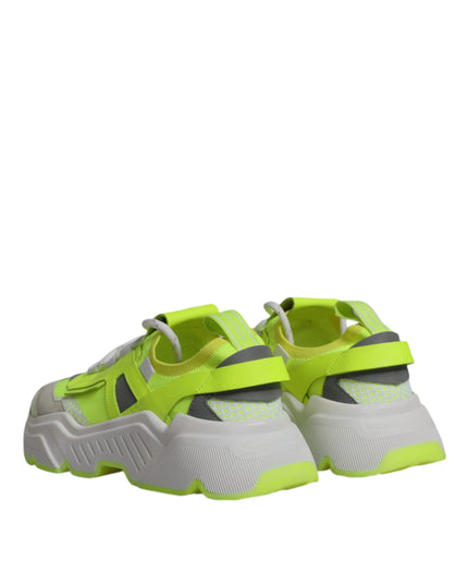 Dolce & Gabbana Multicolor Daymaster Low Top Sneakers Shoes