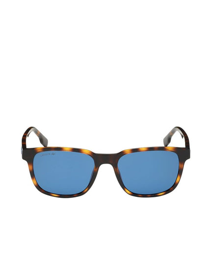Lacoste Brown Injected Sunglasses