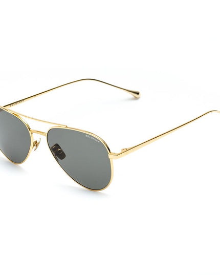 Belstaff Brown Stainless Steel Sunglasses