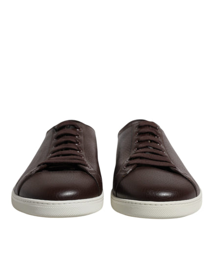 Dolce & Gabbana Brown Low Top Men Saint Tropez Sneakers Shoes