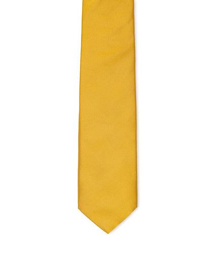 Dolce & Gabbana Gold Silk Ty