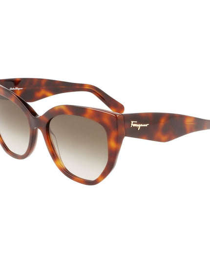Ferragamo Brown Acetate Sunglasses
