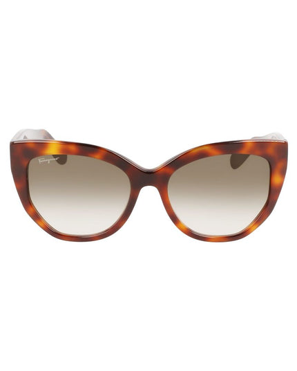 Ferragamo Brown Acetate Sunglasses