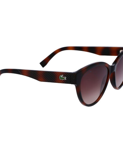 Lacoste Brown Injected Sunglasses
