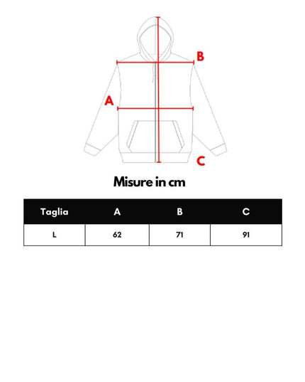 Balenciaga Gray Cotton Sweatshirt