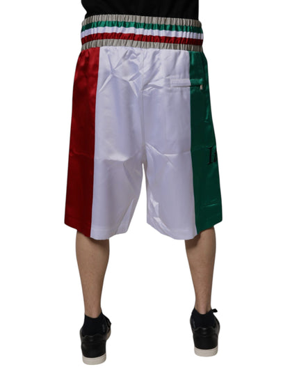 Dolce & Gabbana Multicolor Italia Polyester Bermuda Shorts