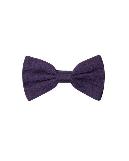 Dolce & Gabbana Purple Silk Bowtie