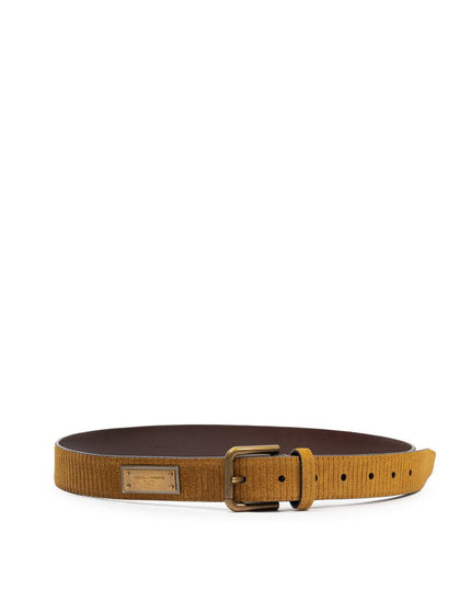 Dolce & Gabbana Brown Leather Regular Belt