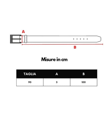 Dolce & Gabbana Brown Leather Regular Belt