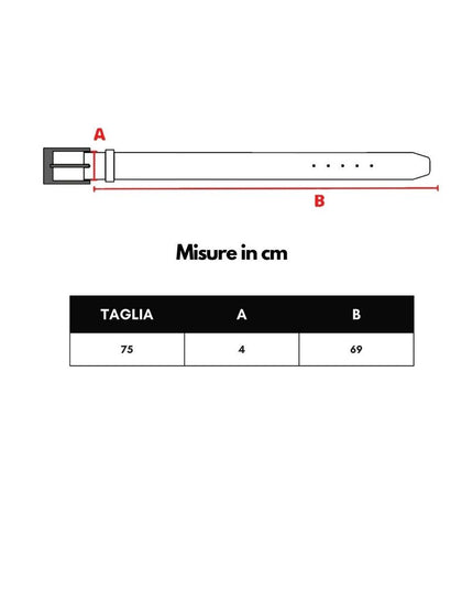 Dolce & Gabbana Pink Leather Regular Belt