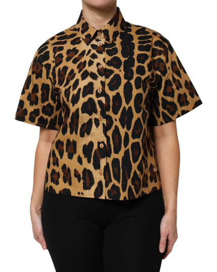 Dolce & Gabbana Brown Leopard Short Sleeve Collared Polo Top