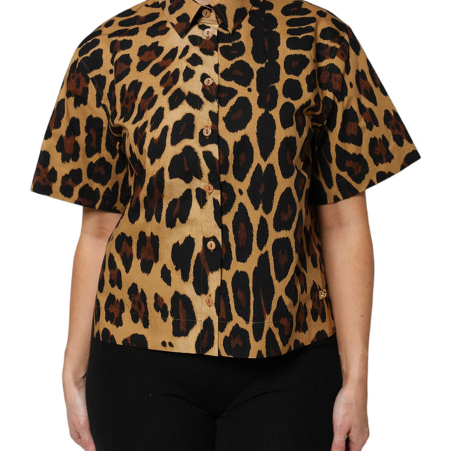 Dolce & Gabbana Brown Leopard Short Sleeve Collared Polo Top