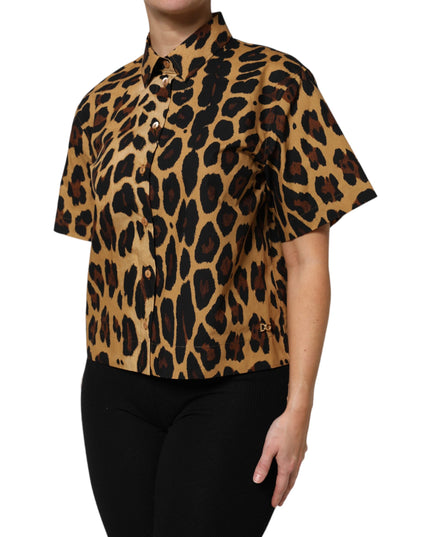Dolce & Gabbana Brown Leopard Short Sleeve Collared Polo Top