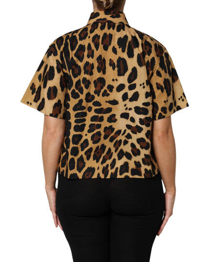 Dolce & Gabbana Brown Leopard Short Sleeve Collared Polo Top
