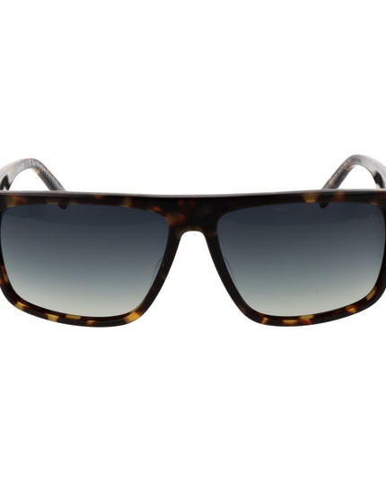 Timberland Brown Acetate Sunglasses