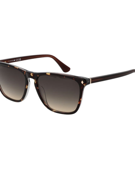 Web Brown Acetate Sunglasses