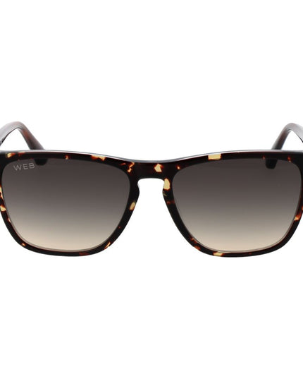 Web Brown Acetate Sunglasses