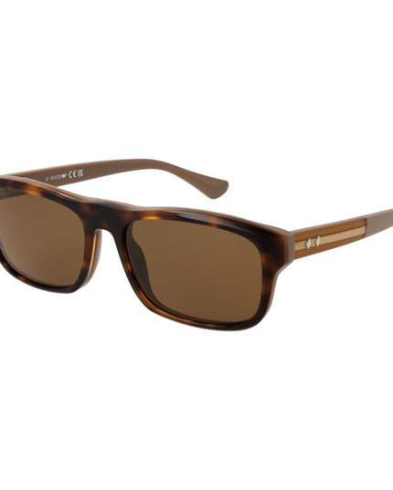 Web Brown Acetate Sunglasses