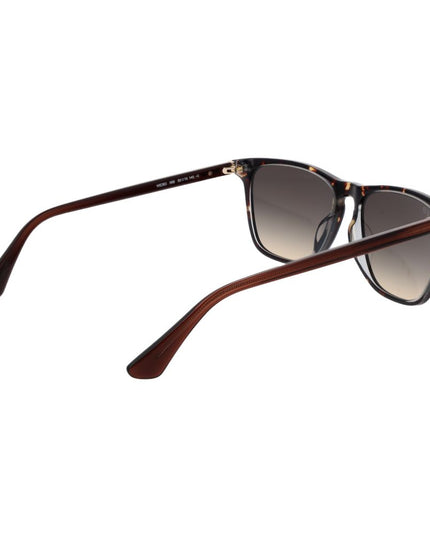Web Brown Acetate Sunglasses