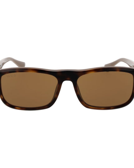 Web Brown Acetate Sunglasses