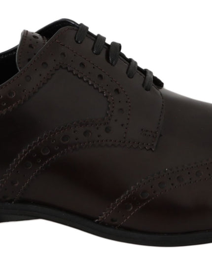 Dolce & Gabbana Brown Leather Broques Oxford Wingtip Shoes
