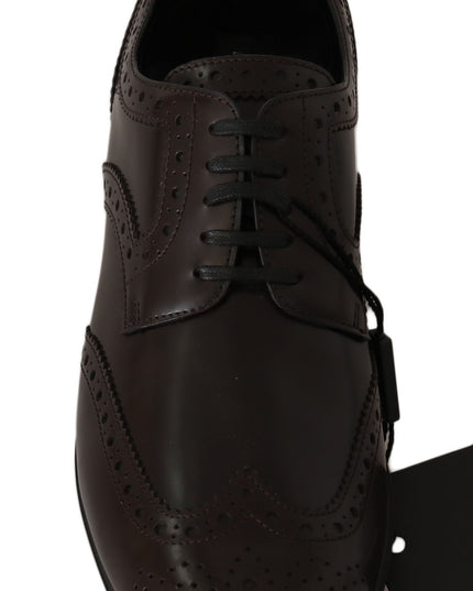 Dolce & Gabbana Brown Leather Broques Oxford Wingtip Shoes
