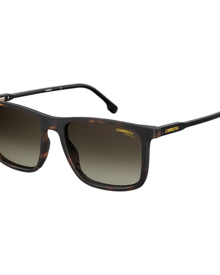 Carrera Brown Injected Sunglasses