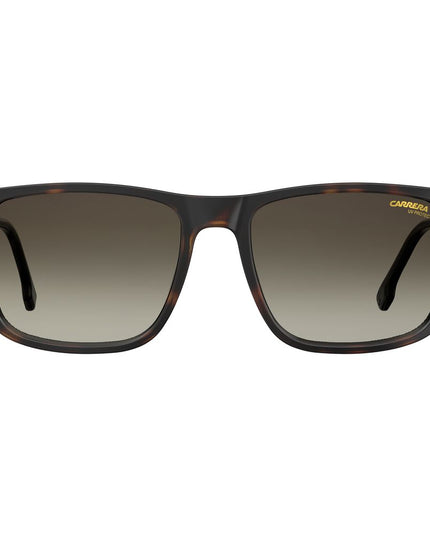 Carrera Brown Injected Sunglasses