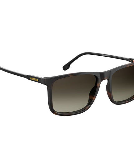 Carrera Brown Injected Sunglasses