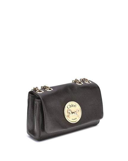 Chloé Brown Calf Leather Bos Taurus Shoulder Bag