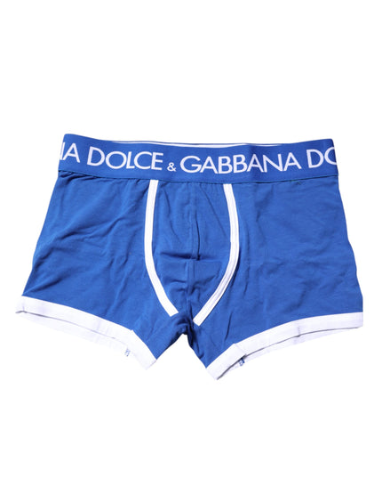 Dolce & Gabbana Blue Logo Waist Regular Boxer Brief Underwear